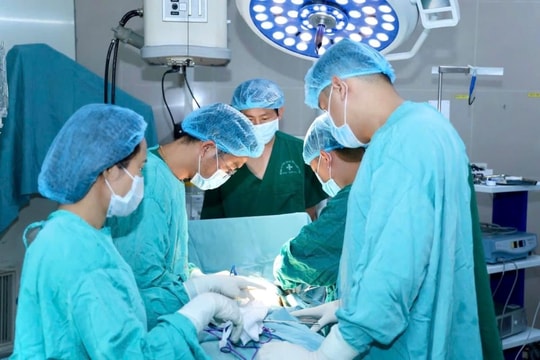 Cứu sống du khách nước ngoài nguy kịch do tai nạn giao thông