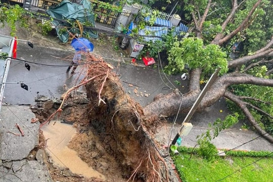 TP.HCM yêu cầu phòng ngừa, ứng phó sự cố mùa mưa bão