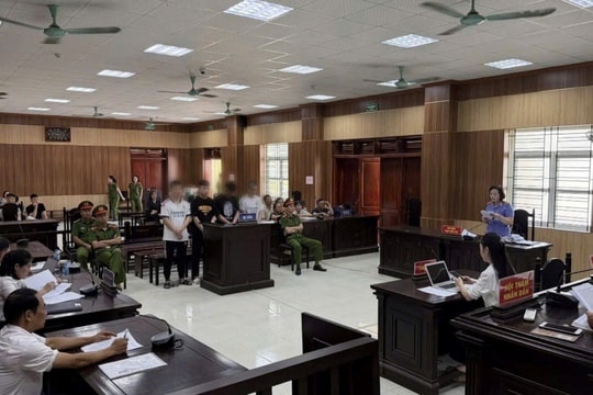 Cái giá của sự bồng bột