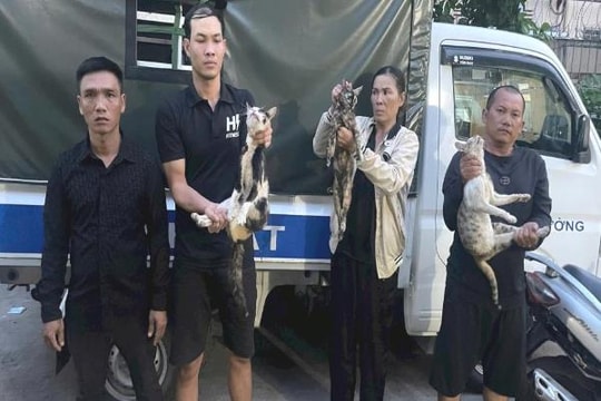 Từ những vụ mất mèo bí ẩn đến chuyên án triệt phá đường dây quy mô lớn