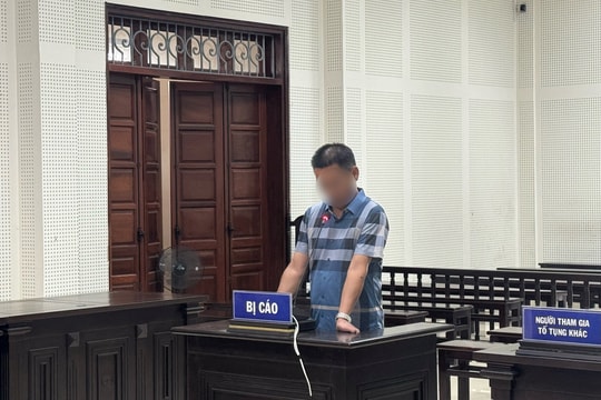 Xét xử vụ hủy hoại hơn 10ha rừng tự nhiên ở Quảng Ninh