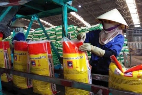 Thanh tra phát hiện hàng loạt sai phạm tại 3 doanh nghiệp phân bón ở Thanh Hóa