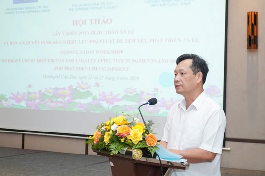 TANDTC tổ chức Hội thảo lấy ý kiến đối với 42 dự thảo án lệ