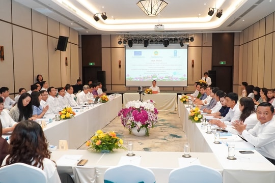 Phó Chánh án TANDTC Nguyễn Văn Tiến chủ trì Hội thảo lấy ý kiến đối với các dự thảo án lệ