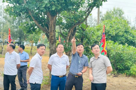 Đảm bảo điều kiện tốt nhất cho Lễ hội Đền Chiêu Trưng Đại Vương Lê Khôi