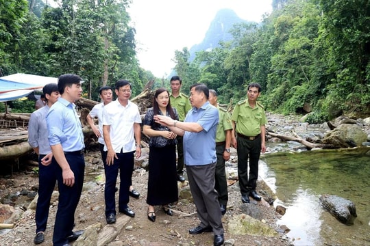 Phú Thọ: Xuân Sơn tìm lời giải cho bài toán bảo tồn và phát triển