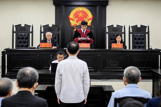 Tái phạm lỗi vi phạm giao thông, tài xế nhận kết đắng