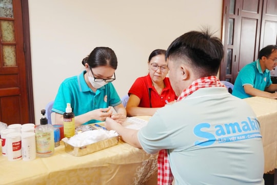 TP.HCM muốn xây “ngân hàng máu sống”