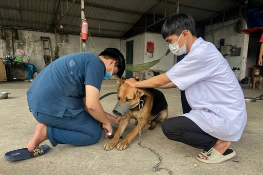 Thanh Hóa triển khai “Năm cao điểm” tiêm vắc xin phòng bệnh Dại