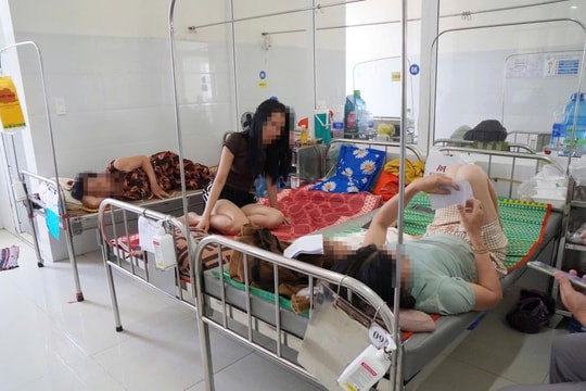 124 người nghi ngộ độc sau khi ăn bánh mì Lâm Huyền, 7 mẫu bệnh phẩm dương tính Salmonella