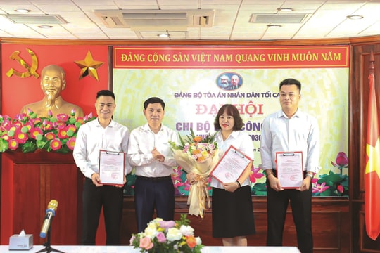 Trưởng thành dưới mái nhà Báo Công lý