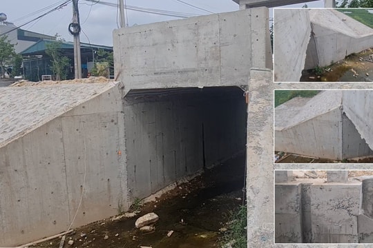 Phía sau tỷ lệ trúng thầu 100% của Công ty TNHH An Dương
