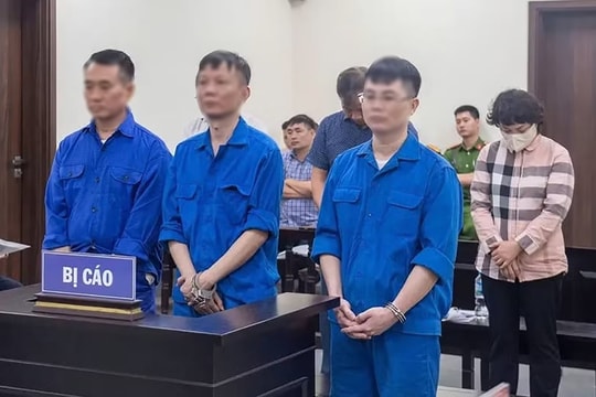 Nhận hàng tỷ đồng hối lộ để làm ngơ cho xây dựng trái phép, nhóm cựu cán bộ lĩnh án