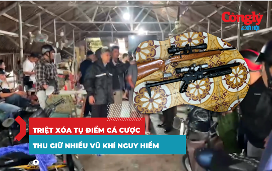 Triệt phá ổ nhóm cá cược đá gà qua mạng, phát hiện nhiều vũ khí nguy hiểm