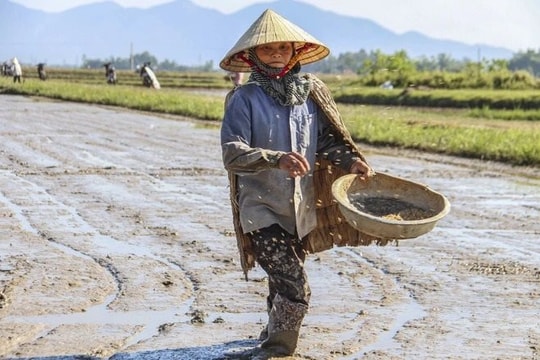 Thời tiết ngày 23/6: Bắc bộ nắng nóng, Trung bộ có nơi trên 40 độ C