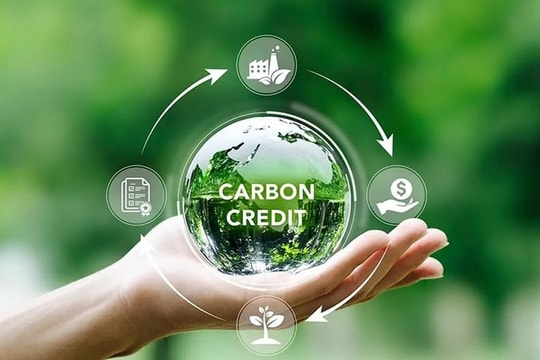 Hơn 511 triệu tấn CO2e sẽ "lên sàn" carbon vào cuối tháng 6