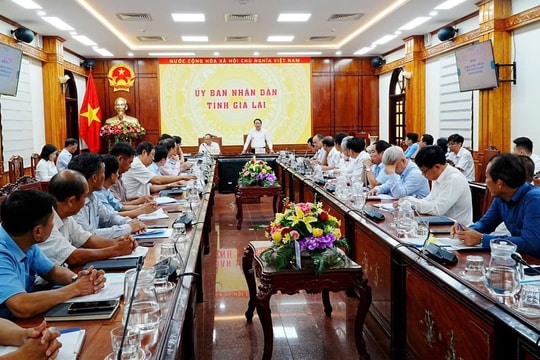 Chủ tịch Gia Lai: Doanh nghiệp phải thay đổi cách làm, tìm giải pháp đột phá để phát triển