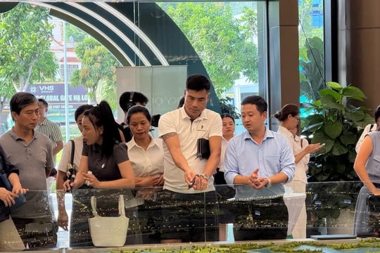 Bất động sản Hạ Long “sẵn sàng kinh doanh” tại Bình Minh 1 được săn đón