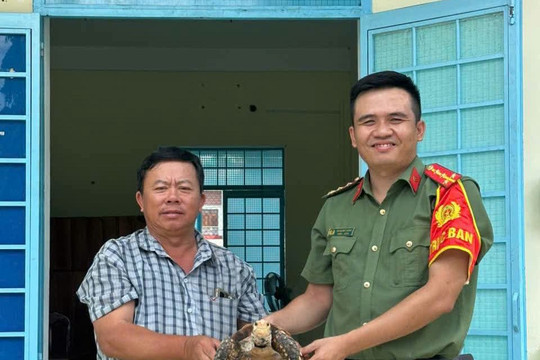 Người dân giao nộp 3 cá thể rùa quý hiếm