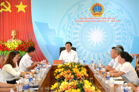 Chánh án TAND tỉnh Gia Lai làm việc với TAND khu vực 7 và 9