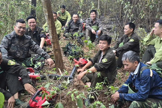 Thức trắng giữa biển lửa, giữ trọn màu xanh của rừng