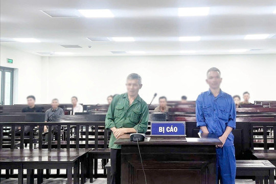 Lưỡi rạ gặt mùa cay đắng