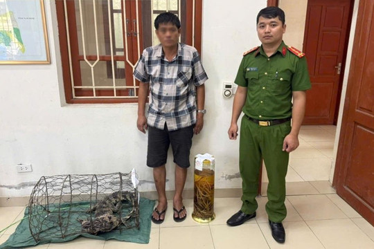 Tàng trữ bình rượu ngâm tay gấu, người đàn ông bị khởi tố