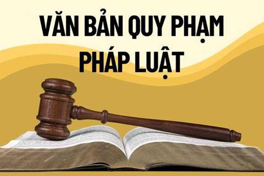 Người đứng đầu chịu trách nhiệm về chất lượng tổng rà soát VBQPPL
