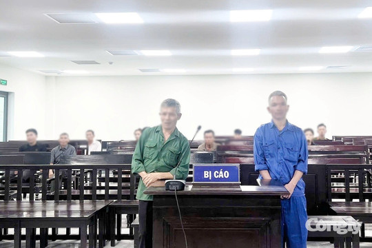 Radio pháp đình: Lưỡi rạ gặt mùa cay đắng