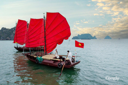 Những cánh buồm ba vách trở lại vịnh Hạ Long