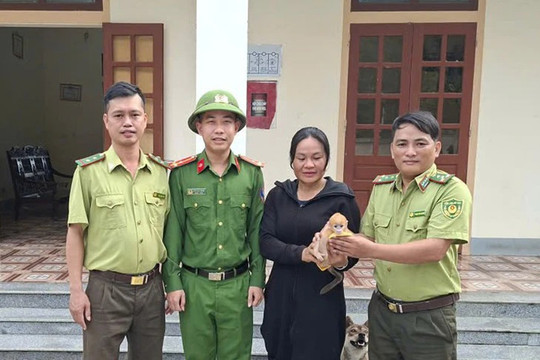 Cứu hộ thành công cá thể voọc non đi lạc vào khu dân cư