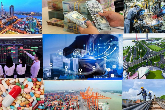 Thí điểm chính sách triển khai lộ trình sử dụng xăng E10