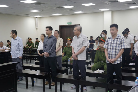 Cựu Chủ tịch Công ty Nam Triệu lĩnh 29 năm tù
