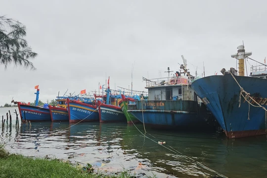 Áp thấp nhiệt đới trên Biển Đông có thể mạnh lên thành bão trong 24 giờ tới