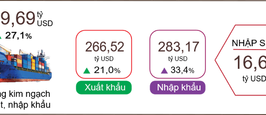 Nửa đầu năm, Việt Nam nhập siêu hơn 16 tỷ USD