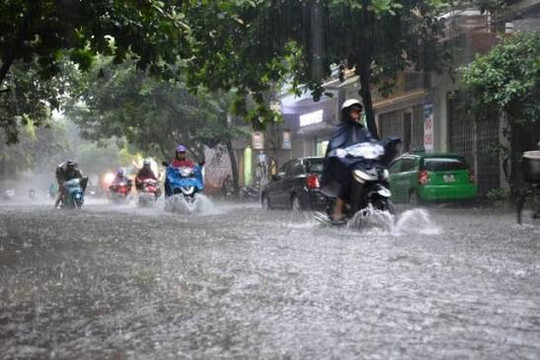 Thời tiết ngày 5/7: Bắc bộ mưa lớn, vùng ven biển gió mạnh cấp 11