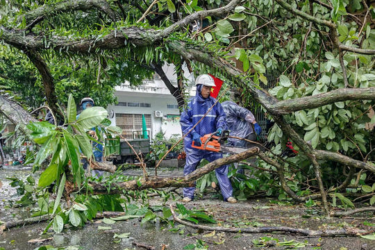 Bão số 1 gây thiệt hại khoảng 20 tỷ đồng tại Quảng Ninh