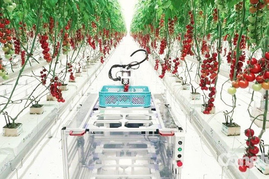 Dự án đầu tư trong khu nông nghiệp ứng dụng công nghệ cao được hưởng các ưu đãi về thuế