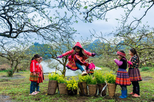 Mộc Châu sắp bùng nổ chuỗi sự kiện văn hóa - du lịch lớn nhất 2026