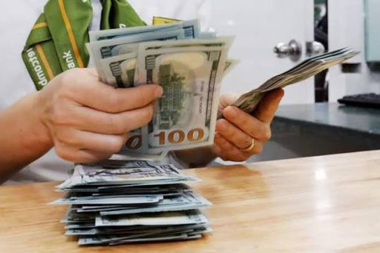 Tỷ giá ngoại tệ ngày 10/7/2026: USD ngân hàng tăng nhẹ