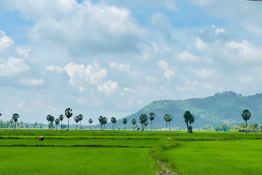 Ba Chúc: Đi qua đau thương, hồi sinh và phát triển