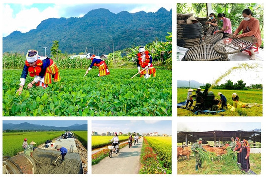 Thực hiện hiệu quả việc giải ngân vốn các Chương trình mục tiêu quốc gia