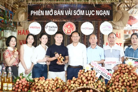 Bắc Ninh tăng cường công tác quản lý nhà nước về thương mại điện tử