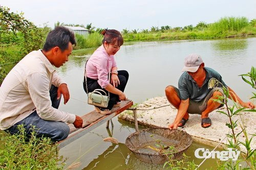 Làm giàu từ tín dụng chính sách