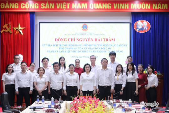 Tòa Phúc thẩm Tòa án nhân dân tối cao tại Đà Nẵng sơ kết