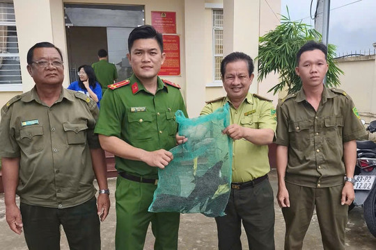 Tiếp nhận cá thể chim cổ rắn quý, hiếm