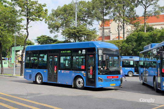 Xe buýt TP.HCM lập kỷ lục