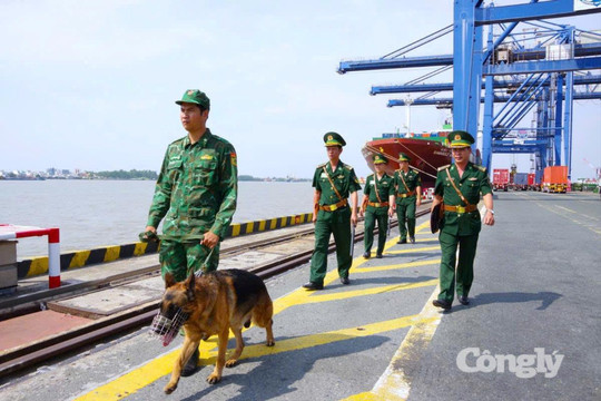Đẩy mạnh chuyển đổi số, nâng cao hiệu quả quản lý cửa khẩu cảng
