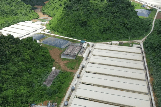 Công ty Dabaco Thanh Hóa: Từ vi phạm môi trường đến tai nạn lao động nghiêm trọng