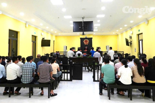 Cựu Phó Chi cục trưởng Chi cục Biển, hải đảo và kiểm ngư tỉnh Cà Mau lĩnh án vì nhận hối lộ